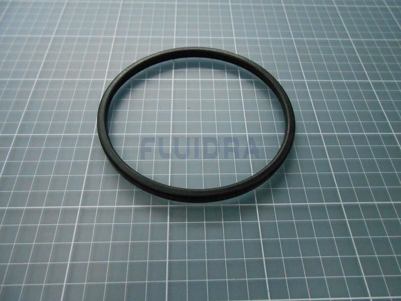 Astralpool - JOINT PREFILTRE PPE BERING
