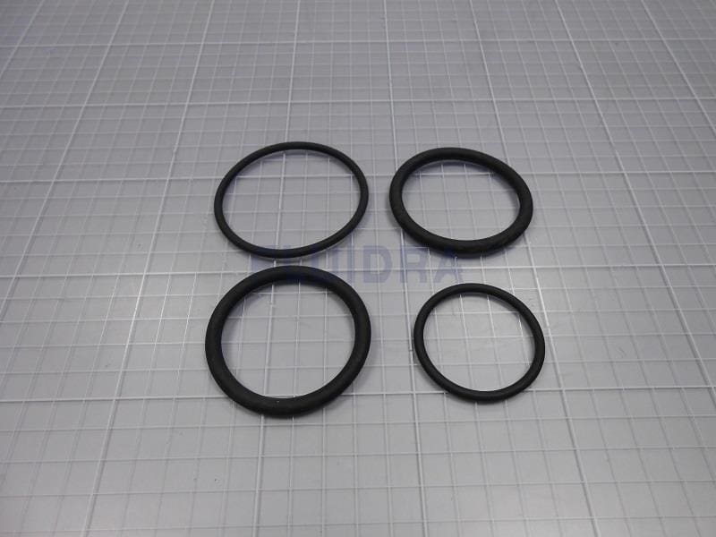 Astralpool - ENSEMBLE JOINT EPDM D.50