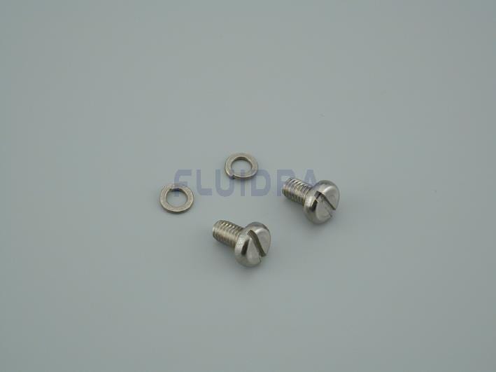 Astralpool - VISSERIE INOX 304 FIXATION DOU