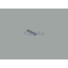 Astralpool - GOUPILLE MOTEUR 4405010531