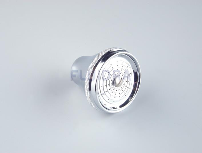 Astralpool - POMMEAU DE DOUCHE -4401041301