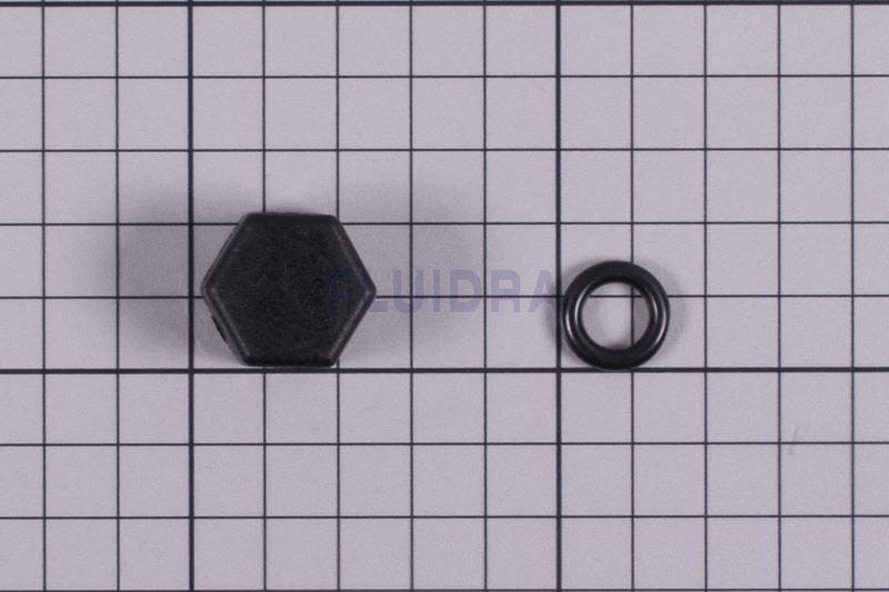 Astralpool - BOUCHON PETIT INJECTION POUR VASE