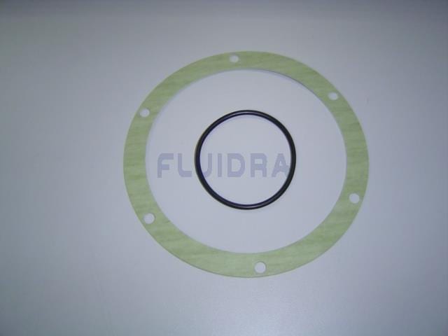 Astralpool - JOINT POMPE 2CV  4405010524
