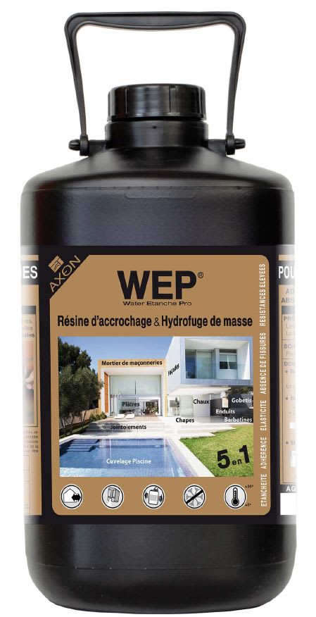 Astralpool - Wep Resine D'Accrochage- Adjuvant Beton Hydrofuge De Masse 5L