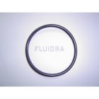 Astralpool - JOINT TORIQUE CELLULE