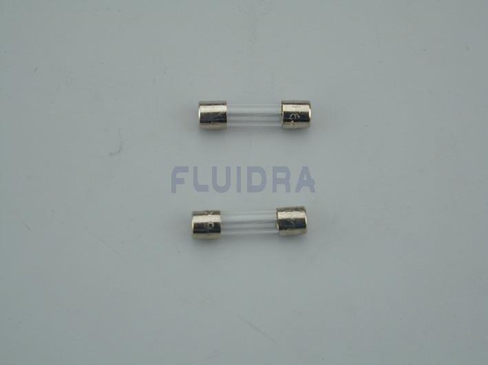 Astralpool - FUSIBLE CIRCUIT DE COMMANDE