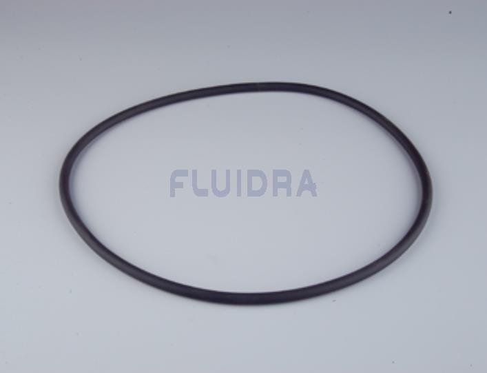 Astralpool - JOINT DE COUVERCLE 4401080202