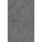 Astralpool - ALKORPLAN ALIVE GRIS 1,65 X 25M / RLX 41,25M2