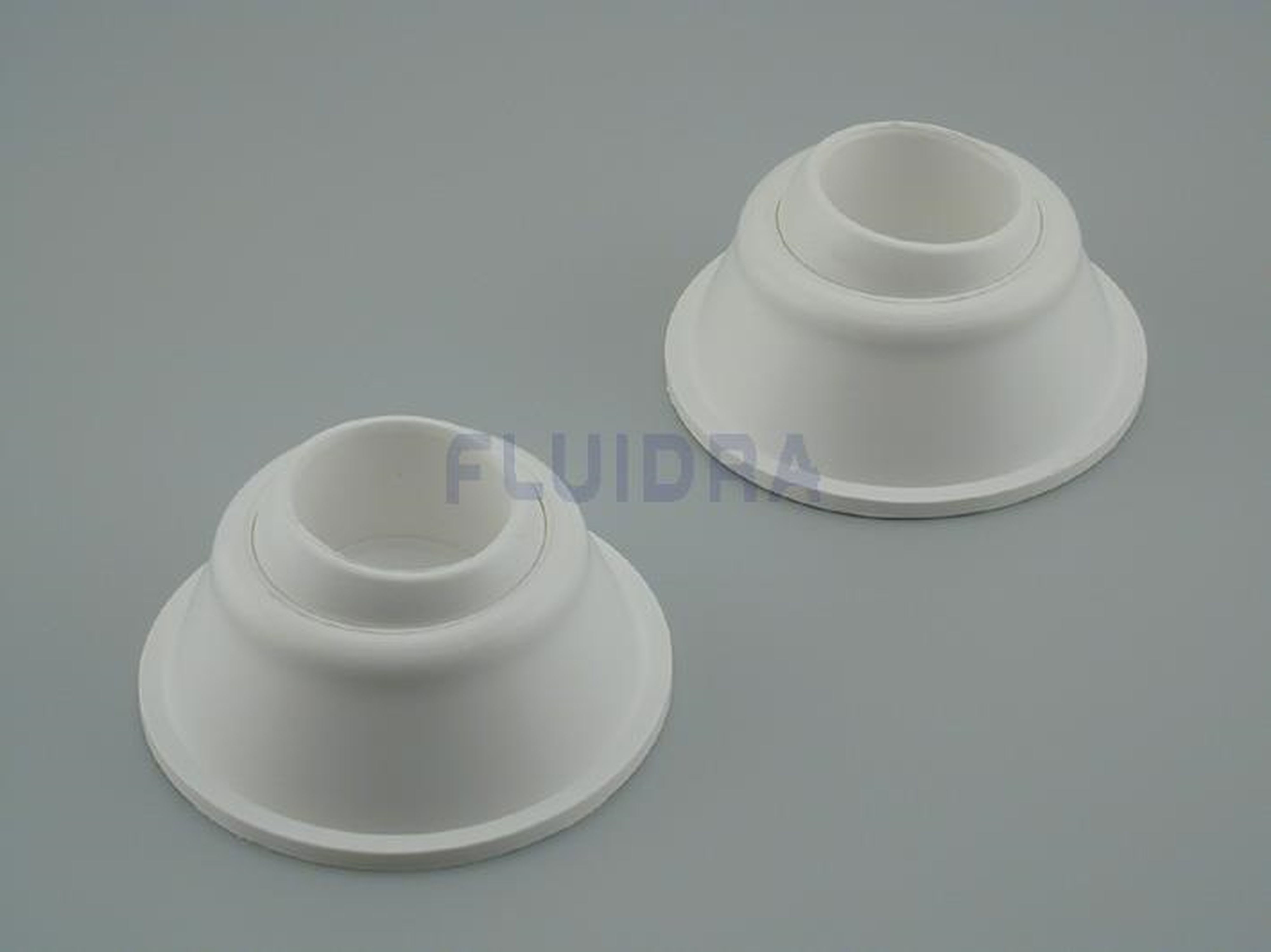 Astralpool - TAMPON ARTICULE D43 JEU DE 2 PIECES