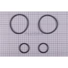 Astralpool - JOINT ELEVATEUR -4401011501