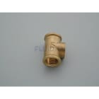 Astralpool - TE 1/2" DOUCHE SOLAIRE