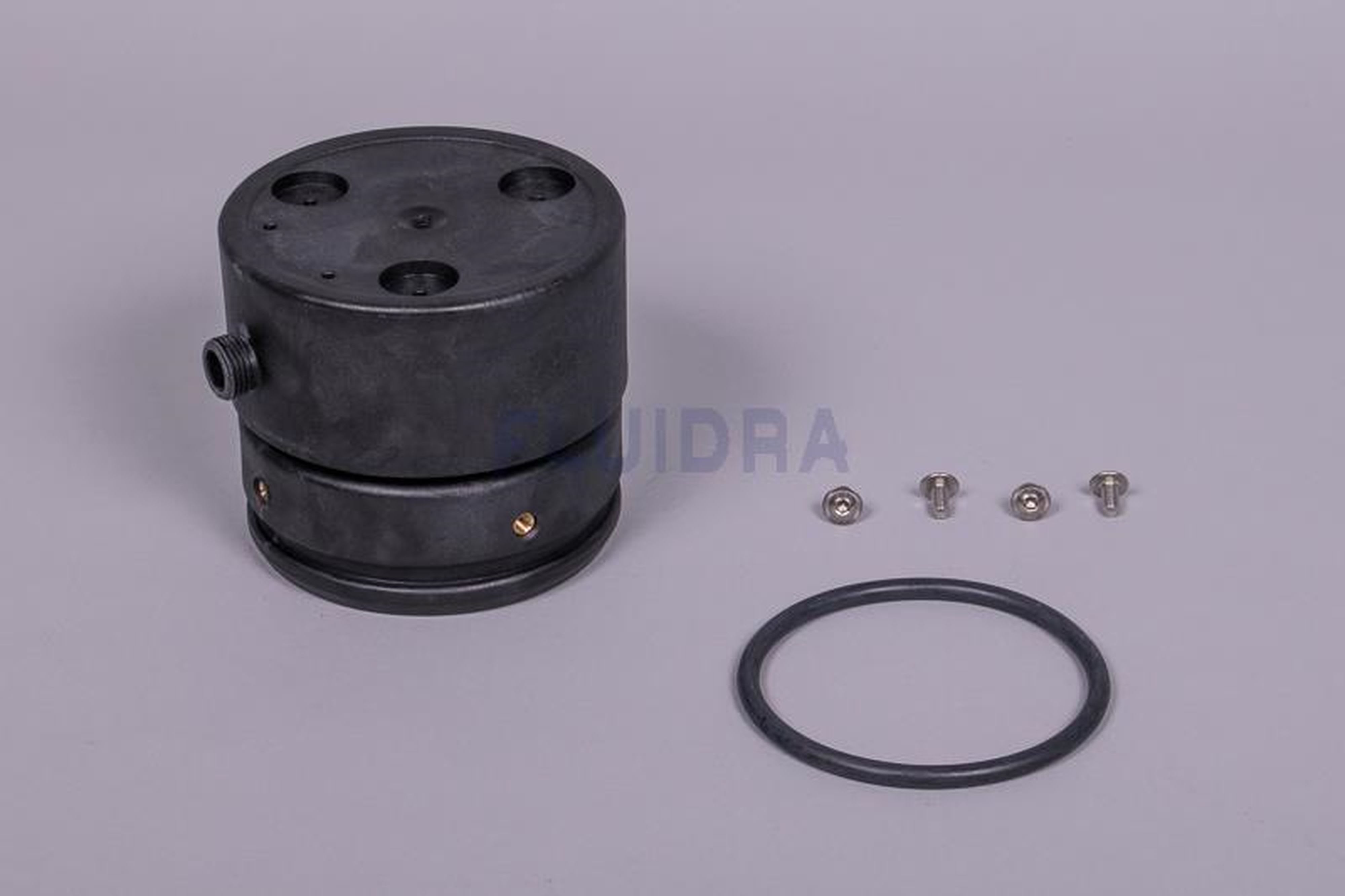 Astralpool - COUVERCLE RESERVOIR SANS PURGE