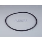 Astralpool - JOINT DE COUVERCLE 4401080202