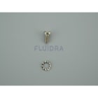 Astralpool - PRISE DE TERRE ANCRAGE 316