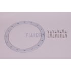 Astralpool - BRIDE FIXATION PROJECTEUR ESAY LINE GRIS