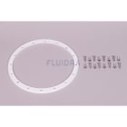 Astralpool - ANNEAU PROJECTEUR PISC LINER 00364