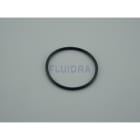 Astralpool - JOINT TORIQUE DE PROJECTEUR