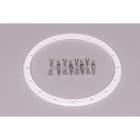 Astralpool - BRIDE PROJO VIS PARKER -4403012416