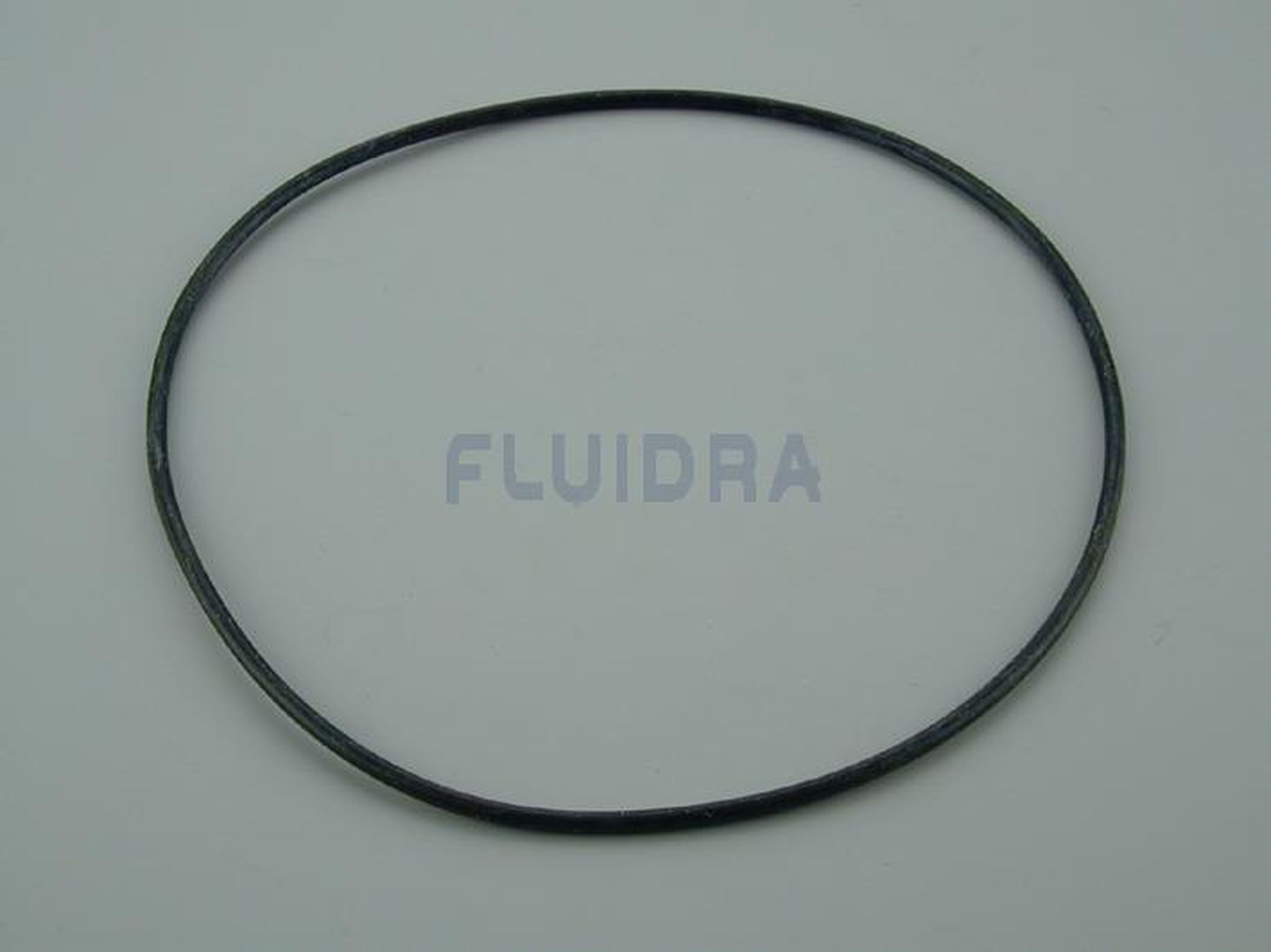 Astralpool - JOINT TORIQUE 255X4 FILT ASTER