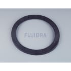 Astralpool - JOINT EMBASE 4404060107