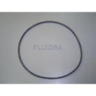 Astralpool - JOINT DE COUVERCLE 4404060301