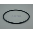 Astralpool - JOINT COUVERCLE