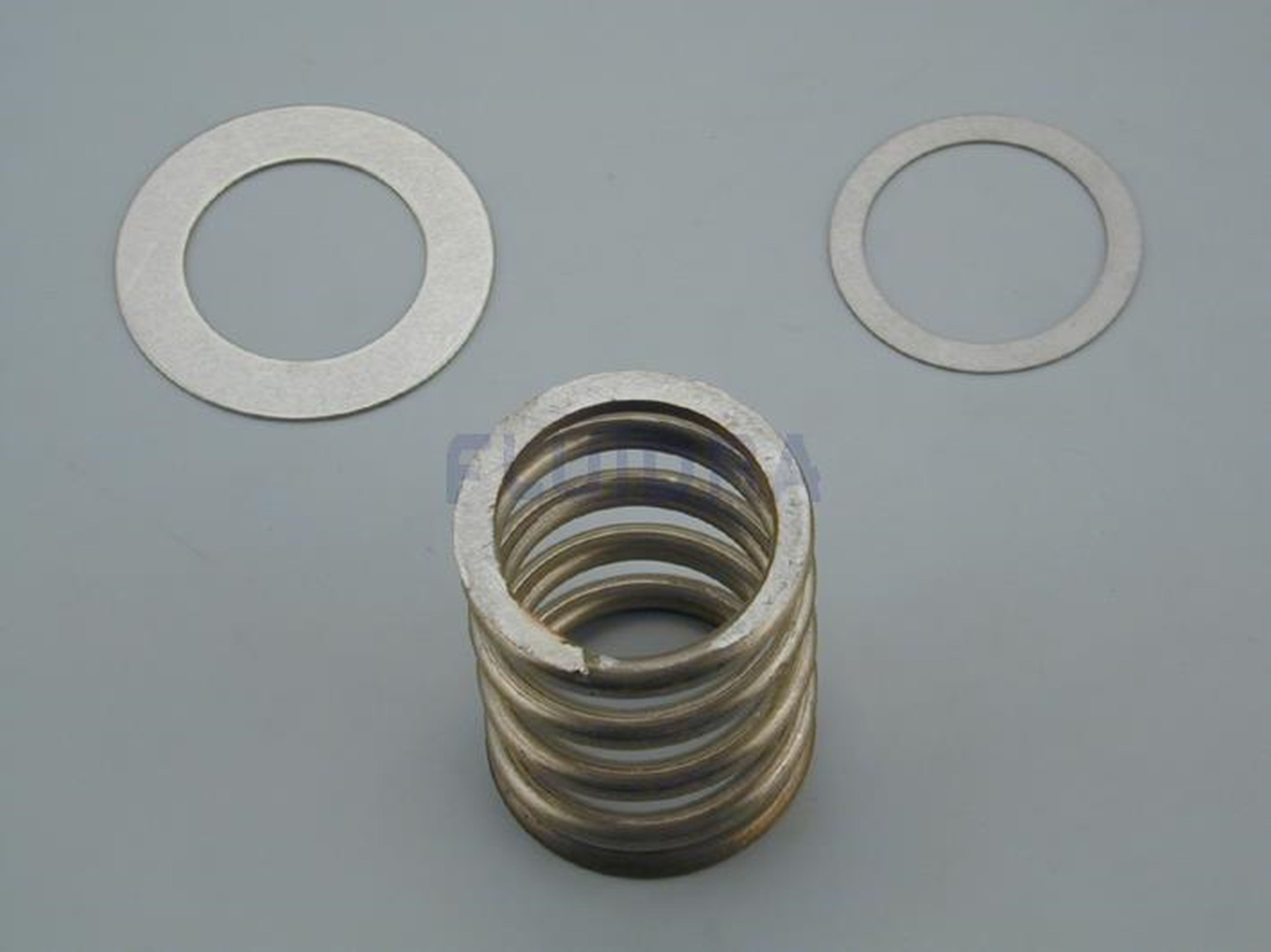 Astralpool - RESSORT ET RONDELLES 2 1/2''