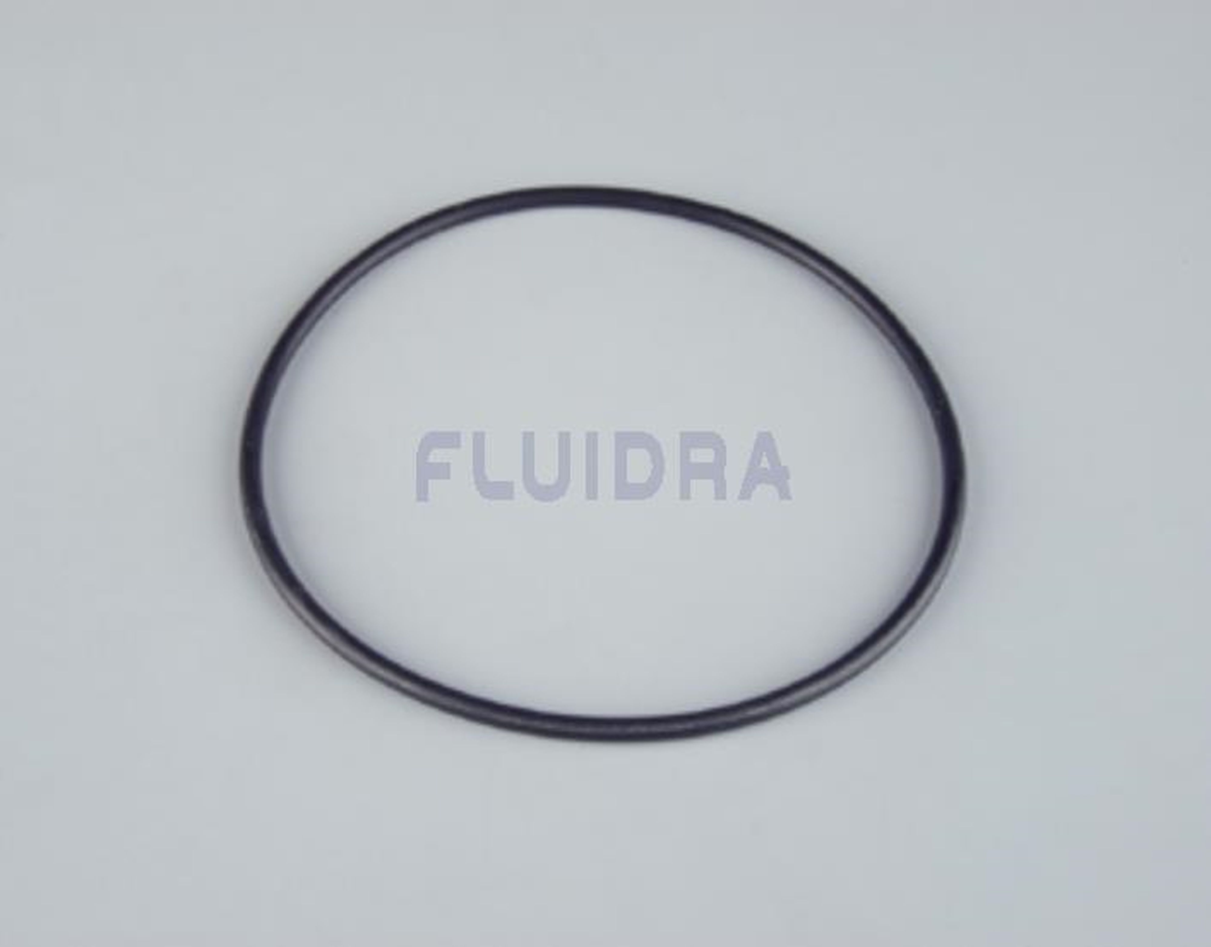 Astralpool - JOINT TORIQUE 4404130106