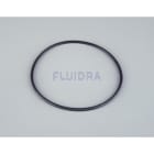 Astralpool - JOINT TORIQUE 4404130106