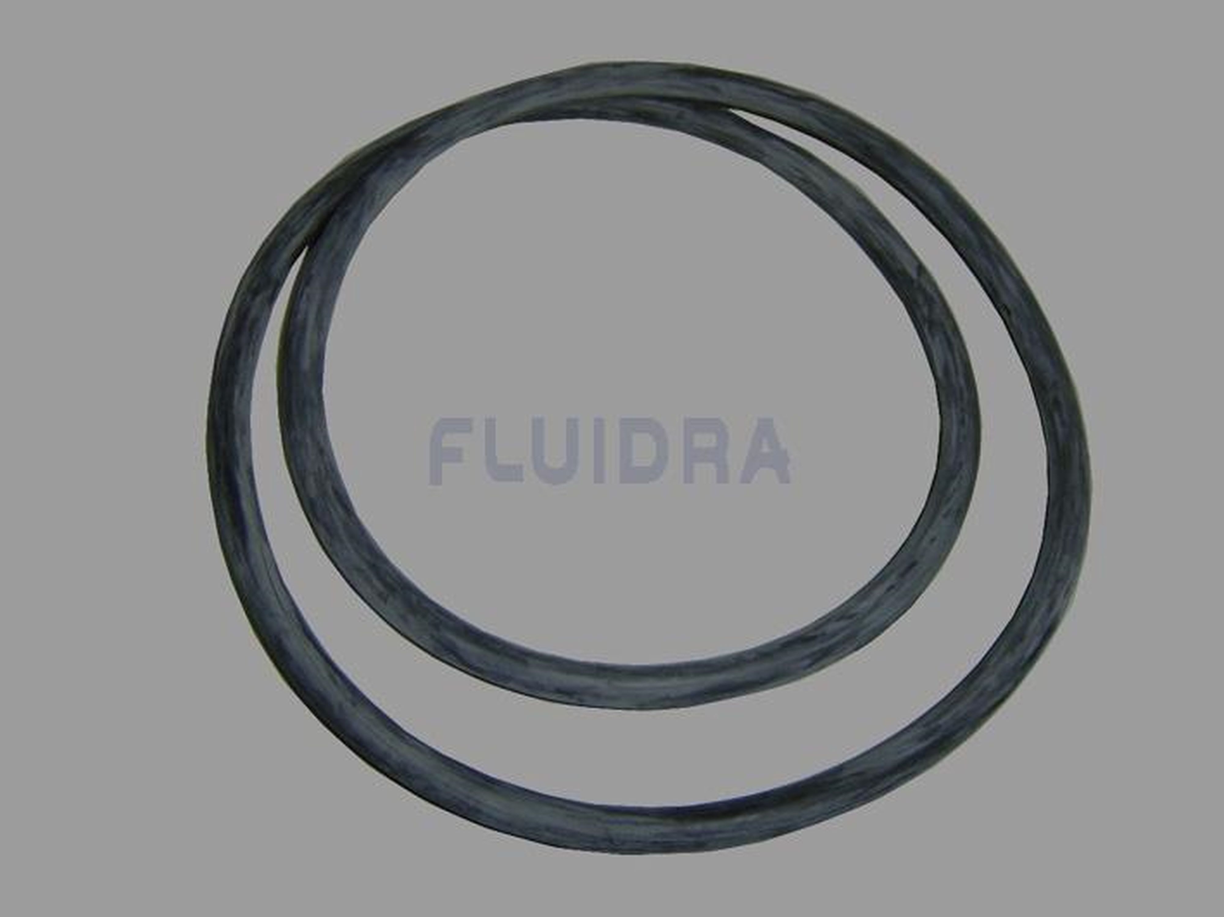 Astralpool - JOINT COUV FILTRE LAMINE -4404161518