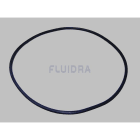 Astralpool - JOINT COUVERCLE VIC