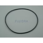 Astralpool - JOINT TORIQUE