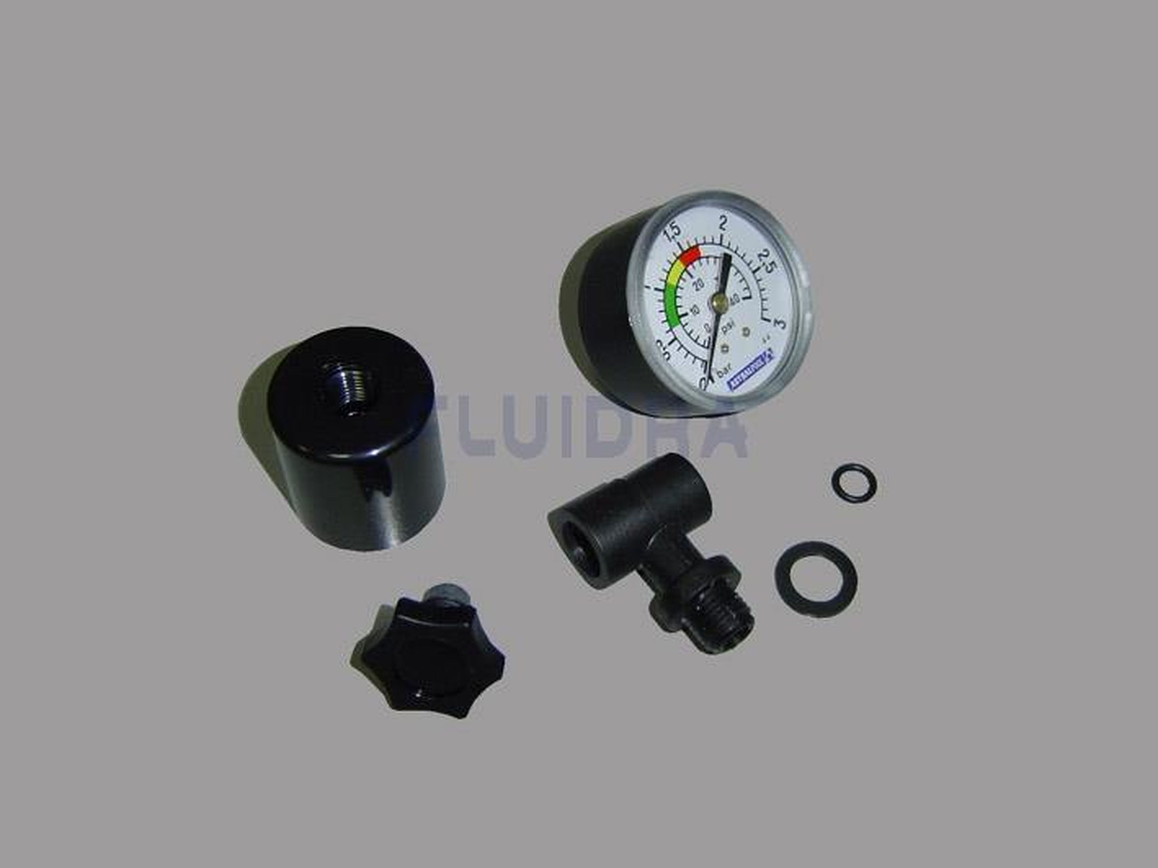 Astralpool - MANOMETRE 1/8" COMPLET 4404190101