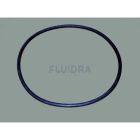 Astralpool - JOINT TORIQUE FILTRE D350