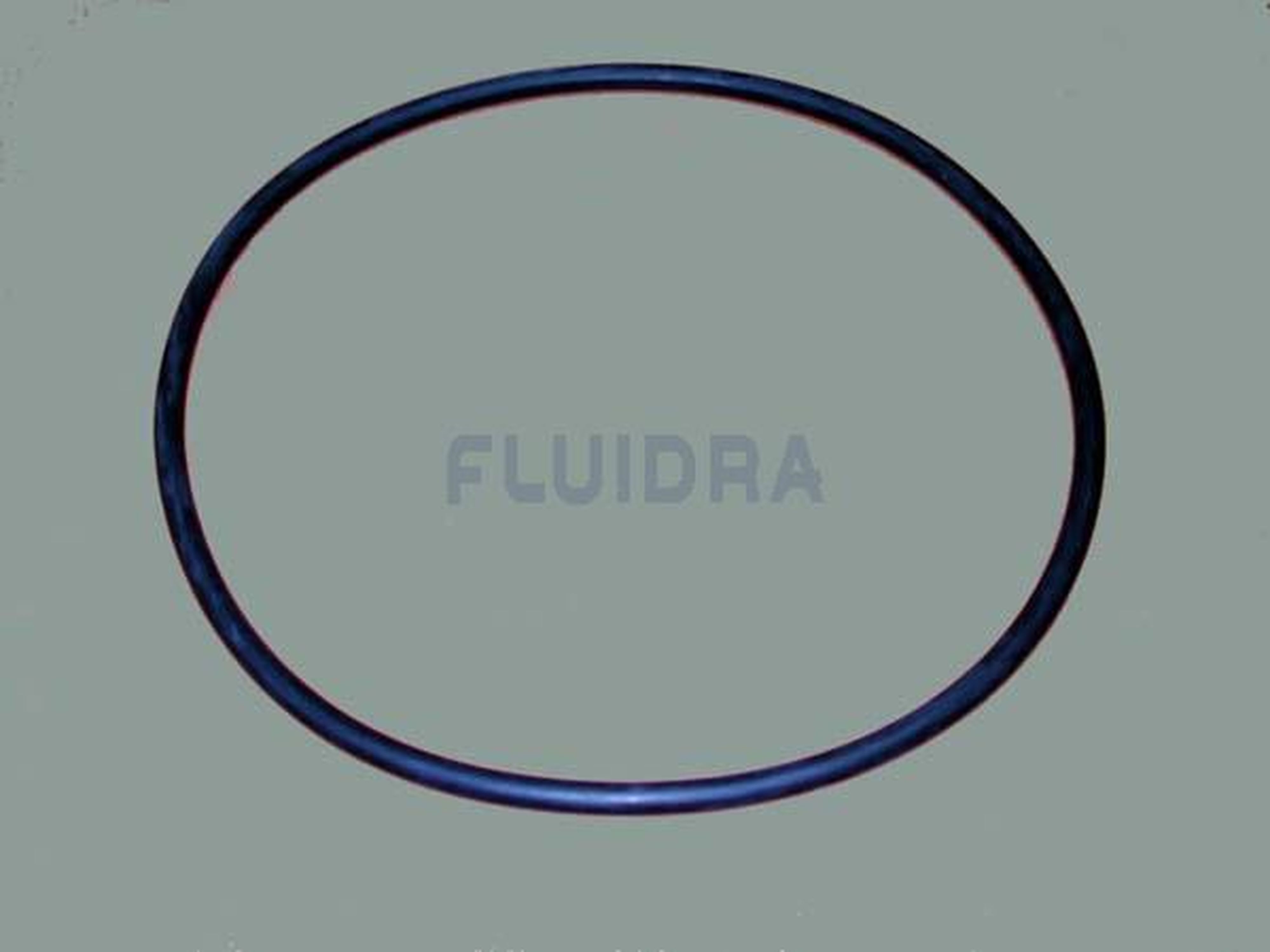 Astralpool - JOINT TORIQUE FILTRE D350