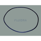 Astralpool - JOINT TORIQUE FILTRE D500