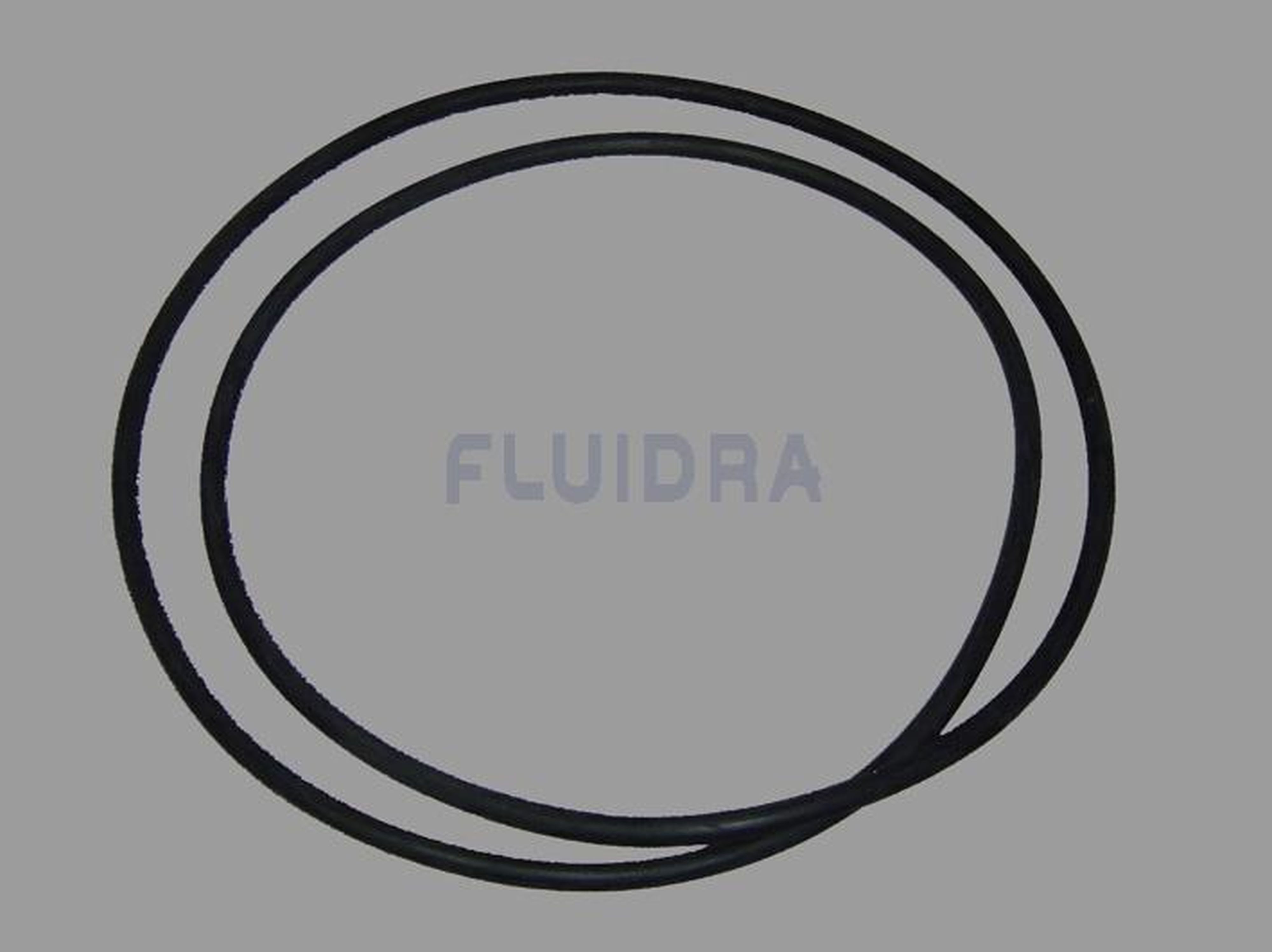 Astralpool - JOINT TORIQUE CLARITY