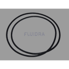 Astralpool - JOINT TORIQUE CLARITY