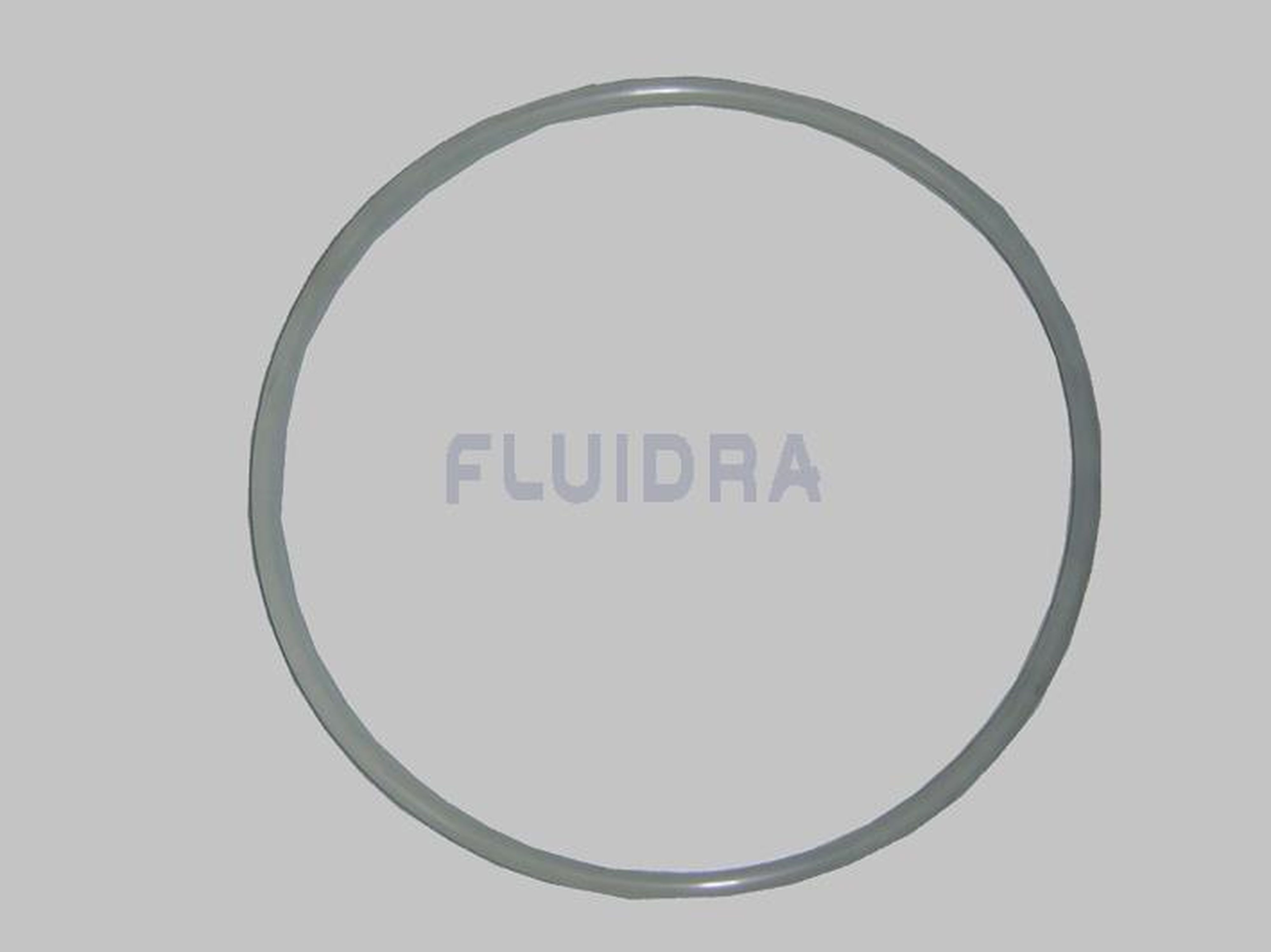 Astralpool - JOINT COUVERCLE FILT VESUBIO