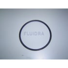 Astralpool - JOINT TORIQUE D 110,5X5,6