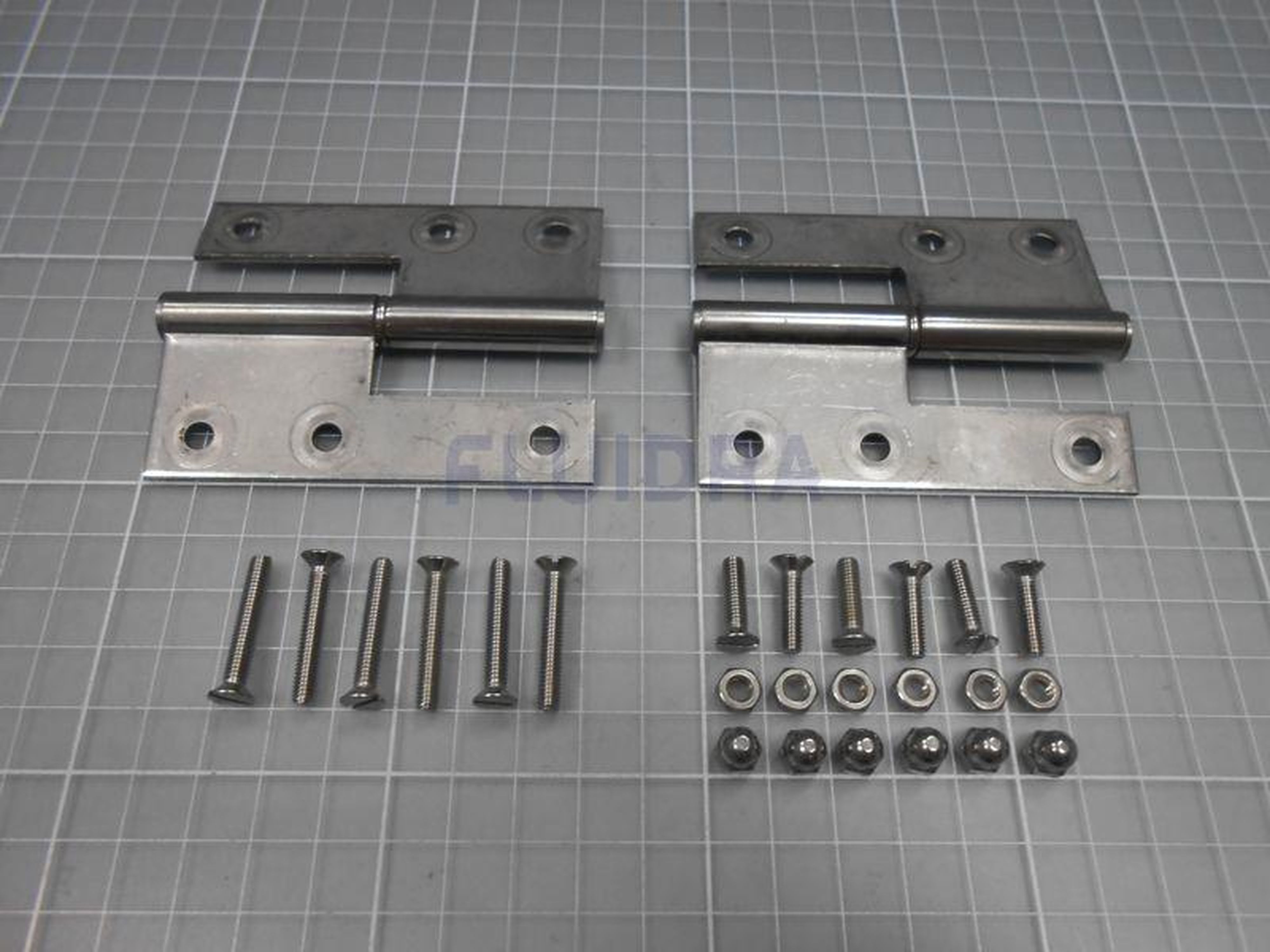 Astralpool - ENS CHARNIERE LOCAL 00619 00620