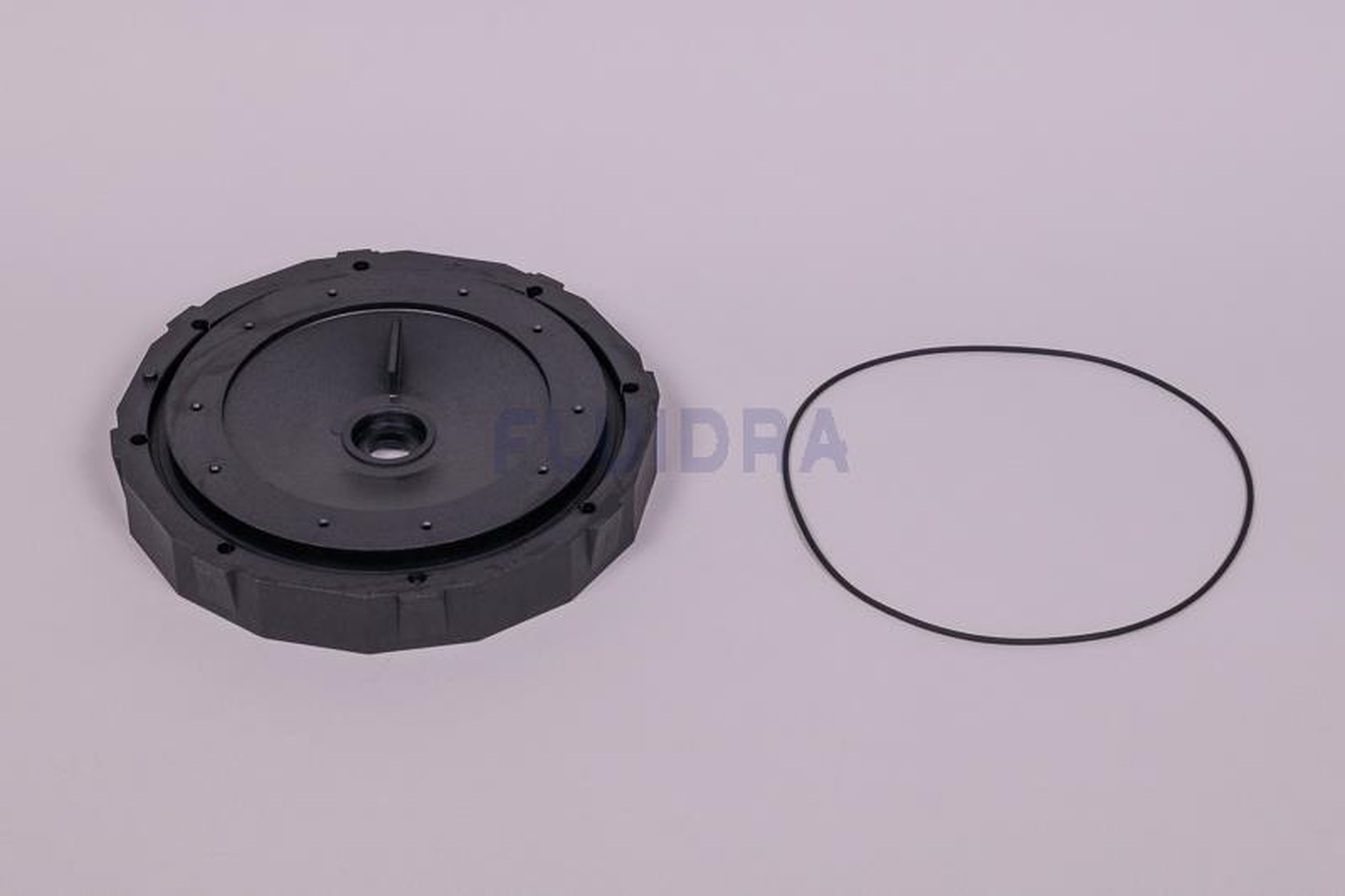 Astralpool - FLASQUE PORTE GARNITURE