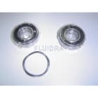 Astralpool - ENSEMBLE ROULEMENT 6205 2RS C90 VICTORIA