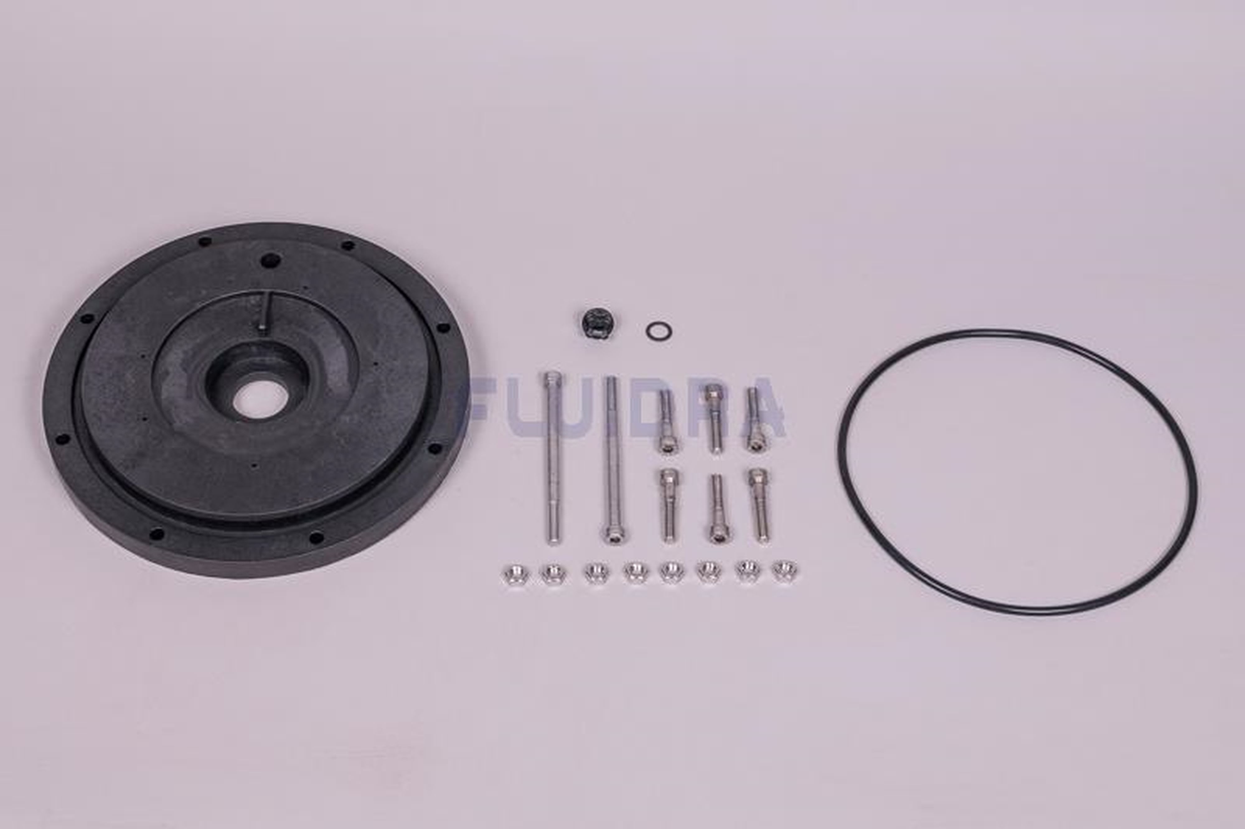 Astralpool - FLAQUE PORTE GARNITURE 4,5-5,5 HP