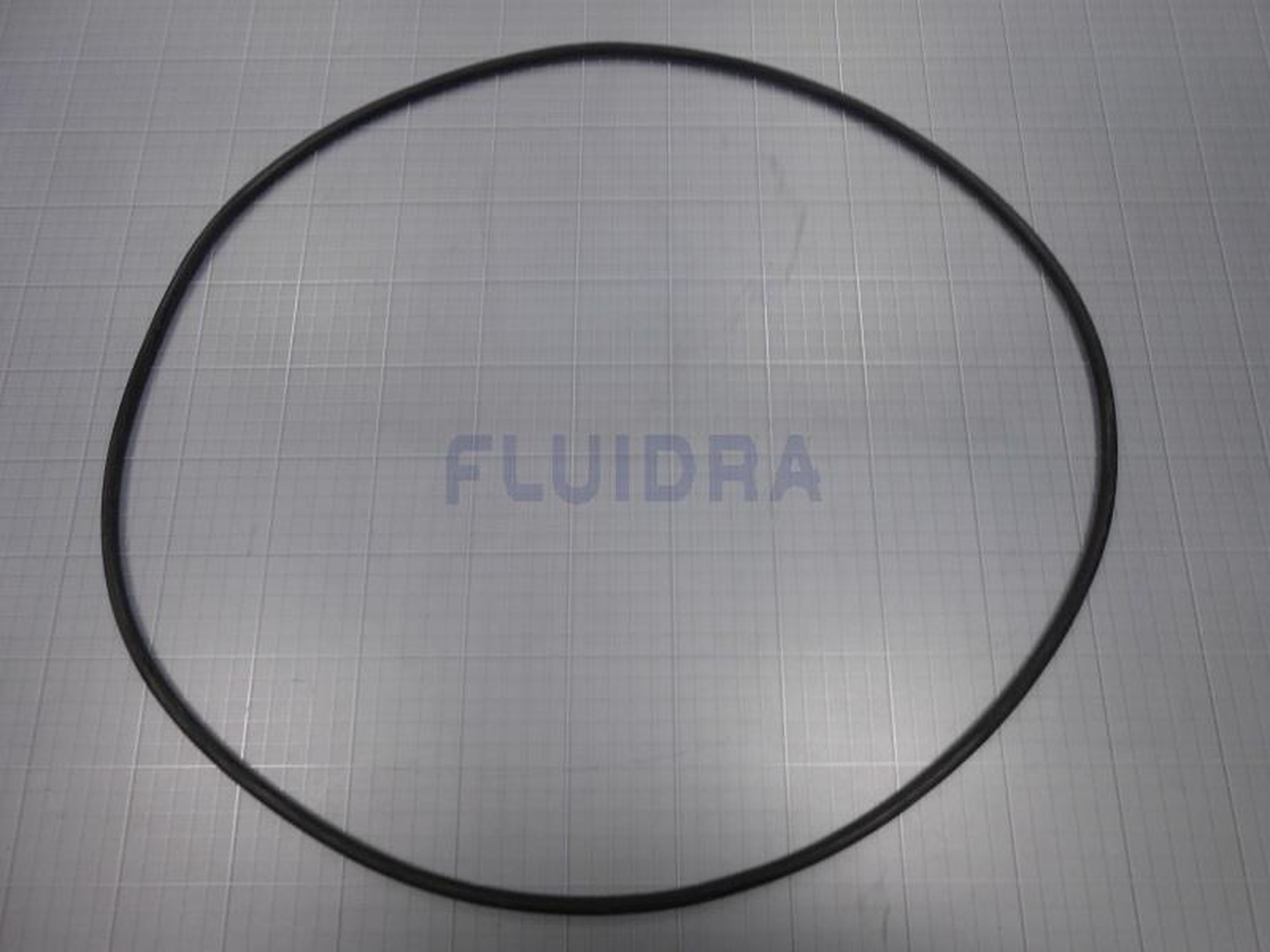 Astralpool - JOINT TORIQUE FLASQUE PPE KIVU