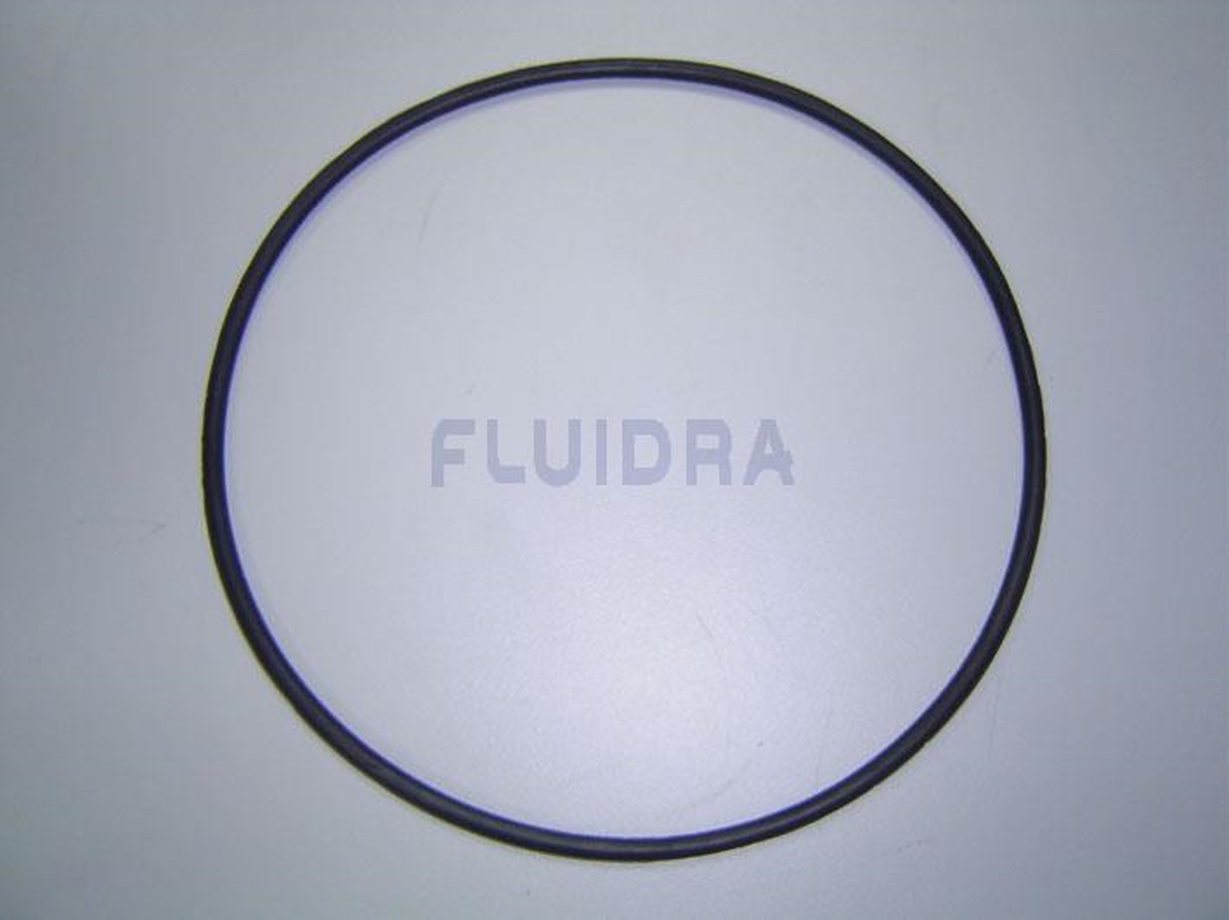 Astralpool - JOINT PREFILTRE 09879