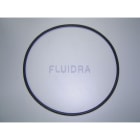 Astralpool - JOINT PREFILTRE 09879