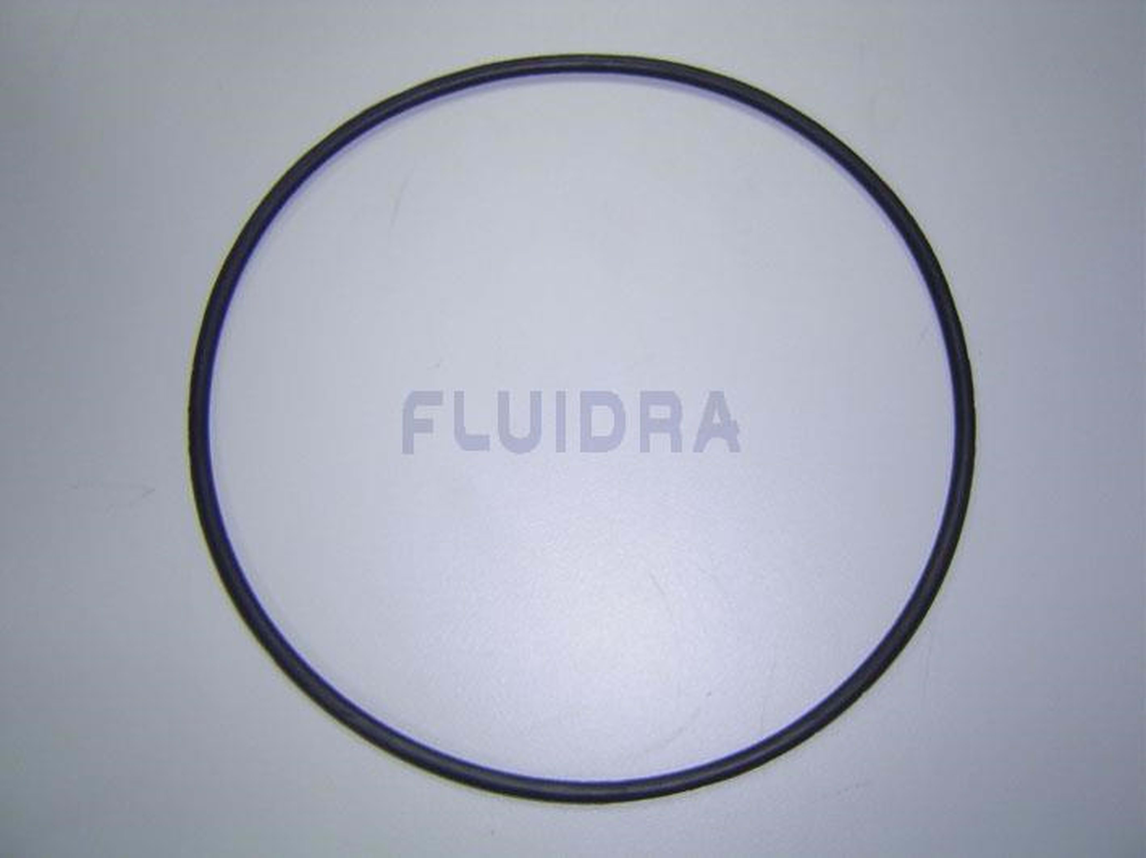 Astralpool - JOINT PREFILTRE 09879