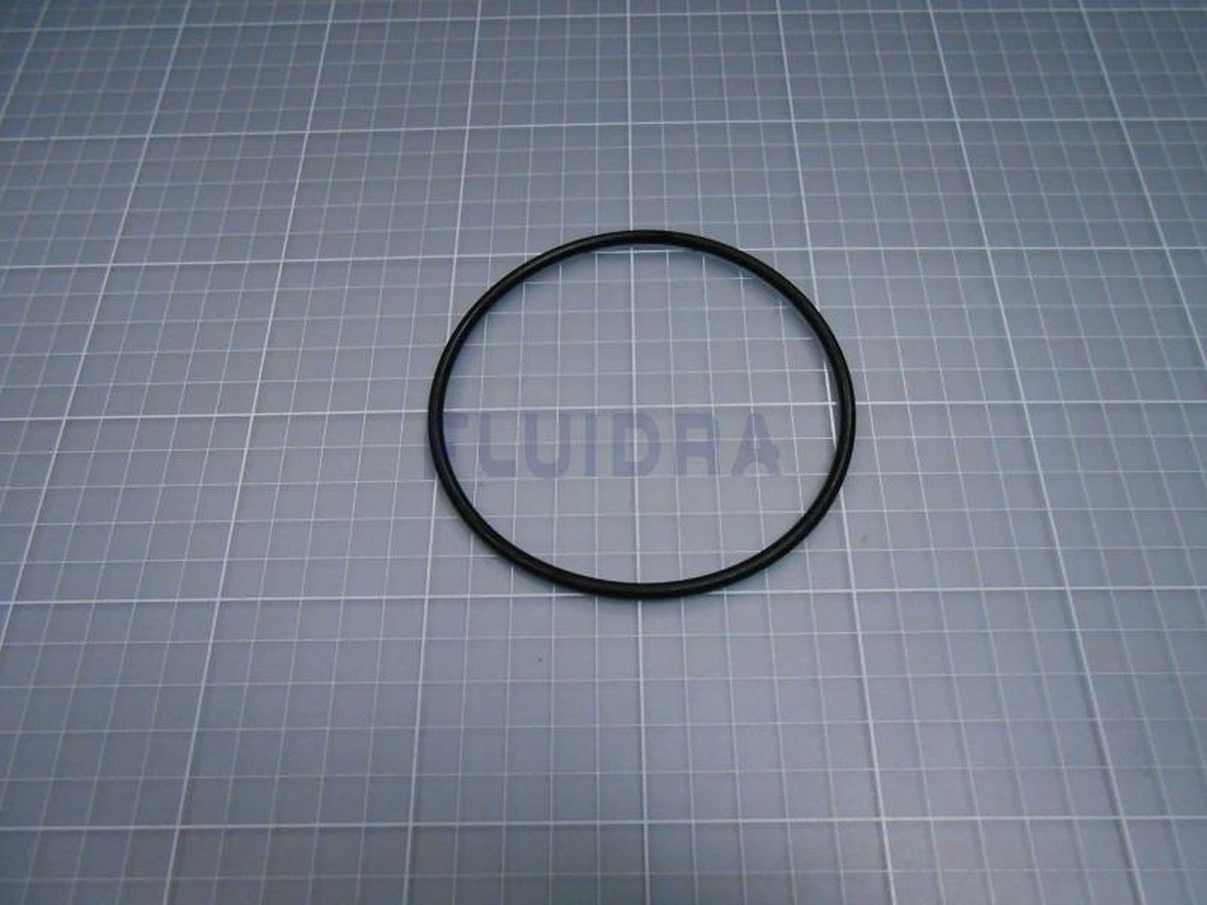 Astralpool - JOINT TORIQUE D100X4