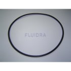 Astralpool - JOINT TORIQUE NCC